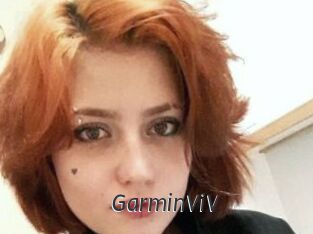 GarminViV