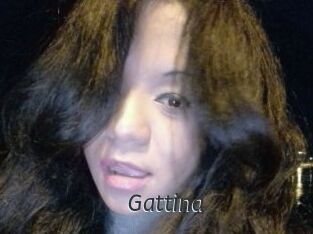 Gattina