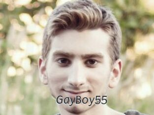 GayBoy55