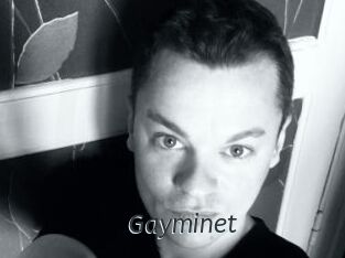 Gayminet
