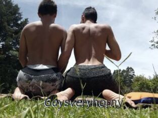 Gaysveryhorny