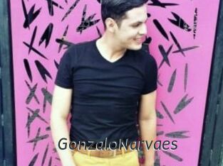 GonzaloNarvaes
