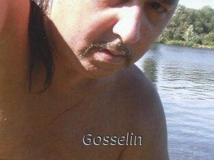 Gosselin Ligne Rose