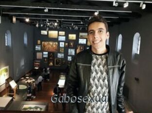 Gabosexual