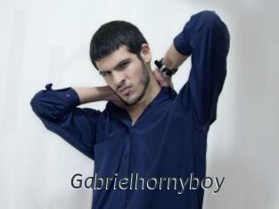 Gabrielhornyboy
