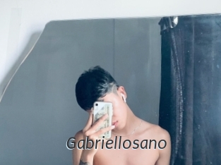 gabriellosano Ligne Rose