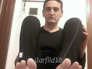 Garfild18