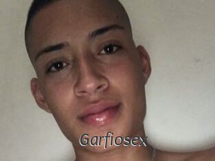 Garfiosex