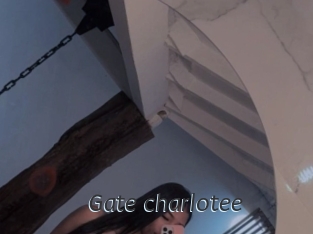 Gate_charlotee