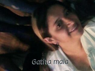 Gatita_mala