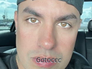 Gatoccc