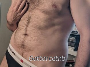 gattorcatnb Ligne Rose