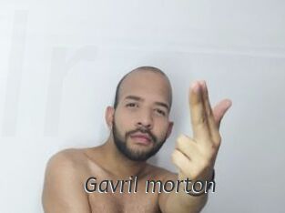 Gavril_morton