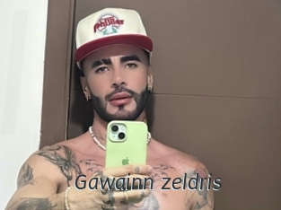 Gawainn_zeldris