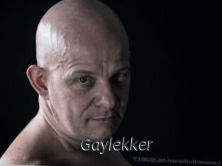 Gaylekker