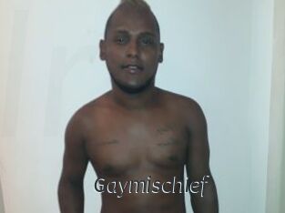 Gaymischief