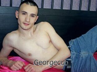 Georgecub