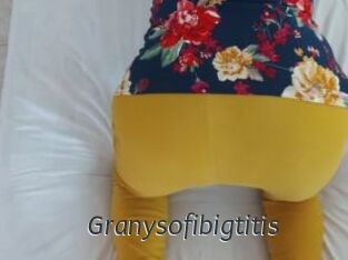 Granysofibigtitis