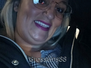 Grosseins88