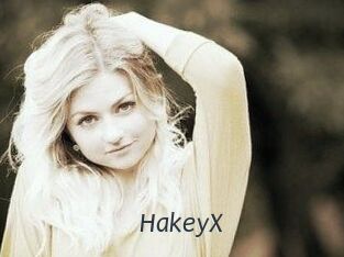 HakeyX