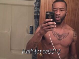 HalfHorse9912