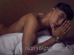HarryBigxx
