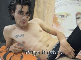 Harrys_bigstick Ligne Rose