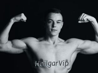 HeilgarVip