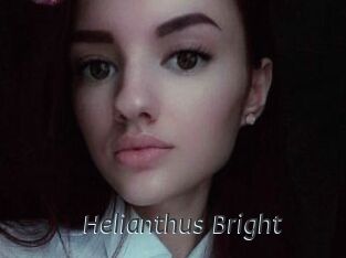 Helianthus_Bright