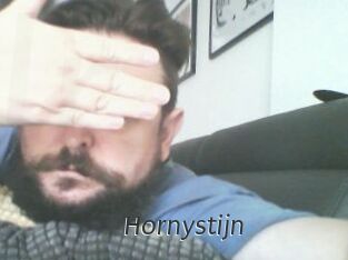 Hornystijn
