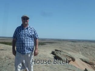 House_Bitch
