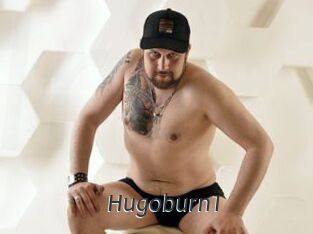 Hugoburn1