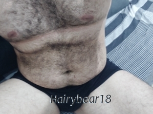 Hairybear18
