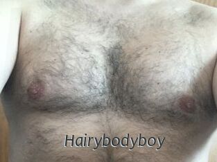 Hairybodyboy