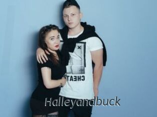 Halleyandbuck