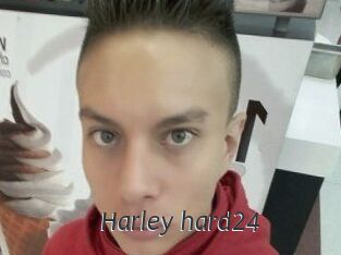 Harley_hard24