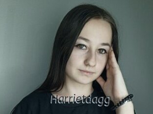 Harrietdagg