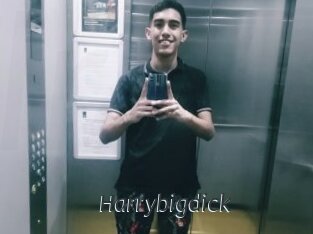 Harrybigdick