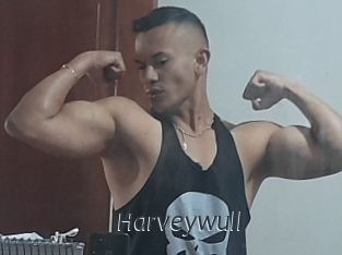 Harveywull