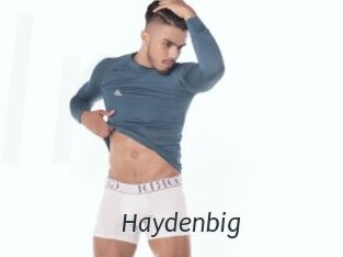 Haydenbig