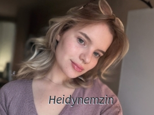 Heidynemzin