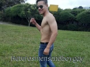 Heterosmensandboygay