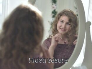 Hidetreasure