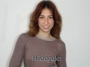 Hildagaler