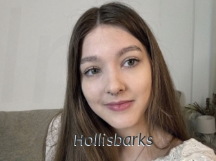 Hollisbarks