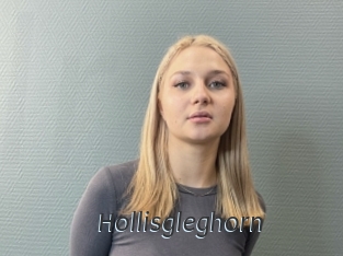 Hollisgleghorn
