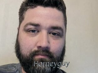 Horneyguy