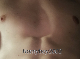 Hornyboy2002