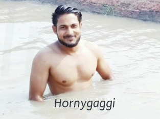 Hornygaggi