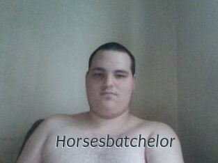 Horsesbatchelor